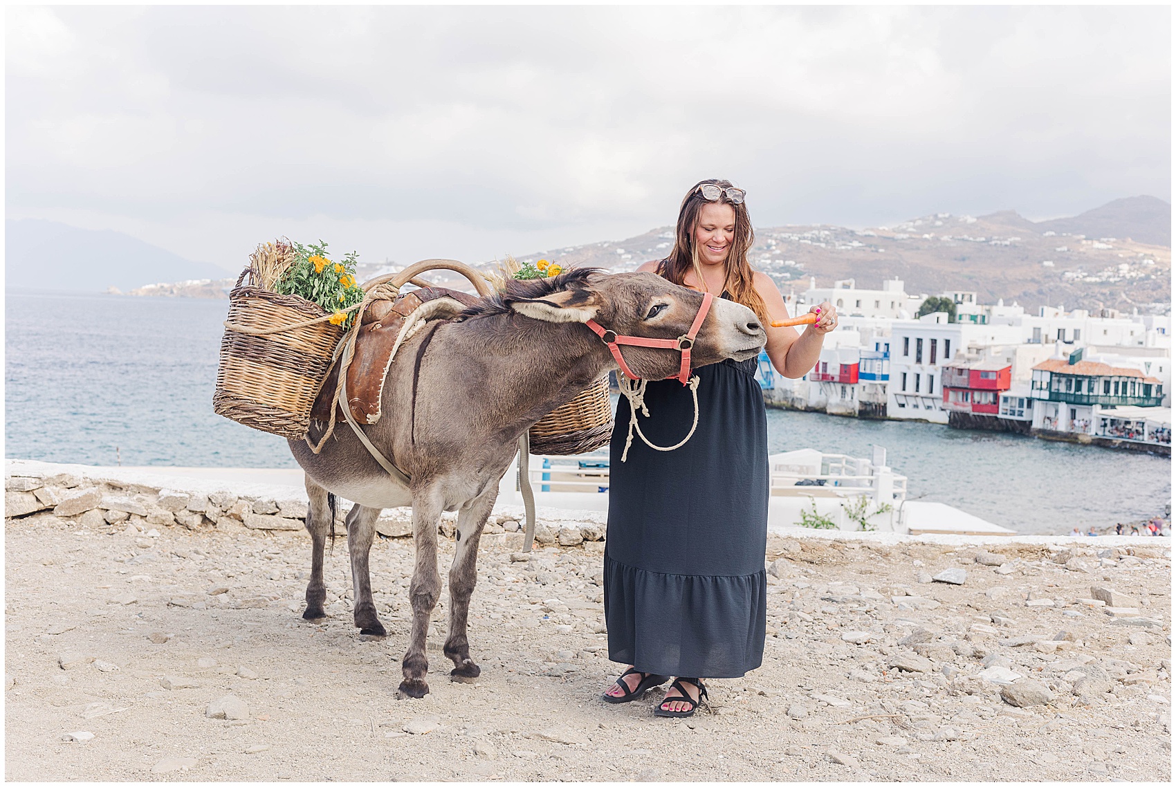 nicole feeding a donkey greece photoshoot